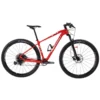R1 Carbon 29 MTB Bike
