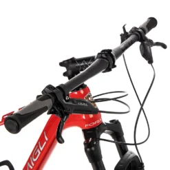 R1 Carbon 29 MTB Bike -E-Bike Shop formigli r1 carbon 29 mtb bike 5